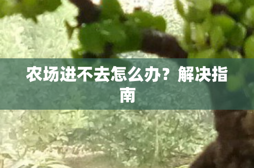 农场进不去怎么办图片
