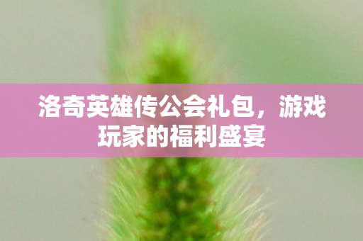 洛奇英雄传公会礼包图片