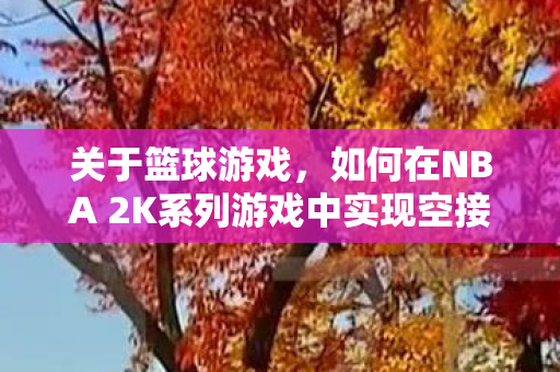 如何在NBA 2K系列游戏中实现空接图片
