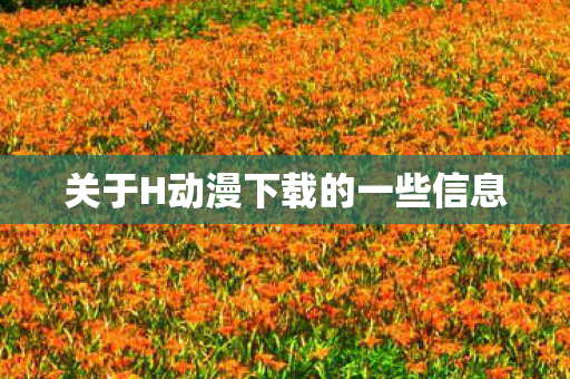关于H动漫下载的一些信息图片