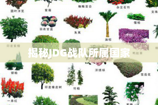 揭秘JDG战队所属国家图片