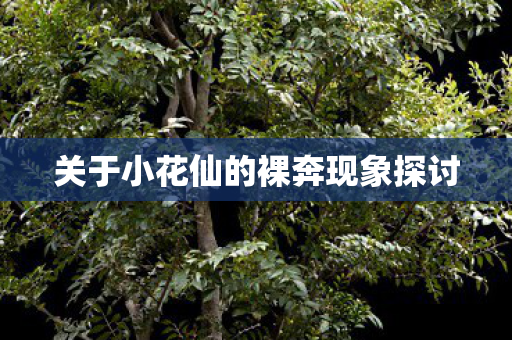 关于小花仙的裸奔现象探讨图片