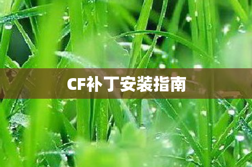 CF补丁安装指南图片
