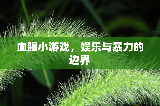 娱乐与暴力的边界图片