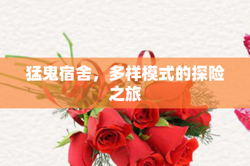 多样模式的探险之旅图片