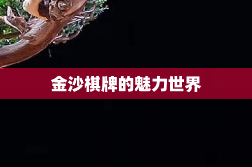 金沙棋牌的魅力世界图片