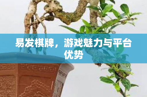 游戏魅力与平台优势图片