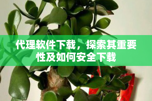 探索其重要性及如何安全下载图片