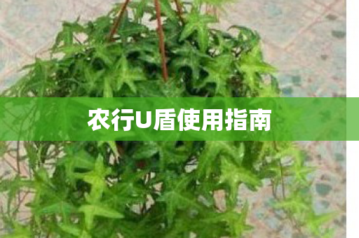 农行U盾使用指南图片