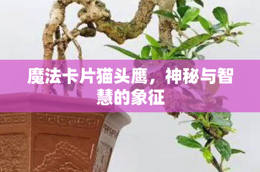 神秘与智慧的象征图片