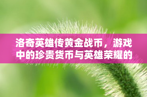 游戏中的珍贵货币与英雄荣耀的象征图片