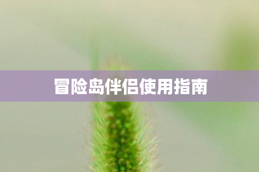 冒险岛伴侣使用指南图片