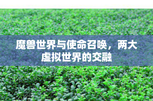 魔兽世界与使命召唤图片