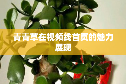 青青草在视频线首页的魅力展现图片