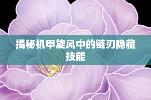 揭秘机甲旋风中的链刃隐藏技能图片
