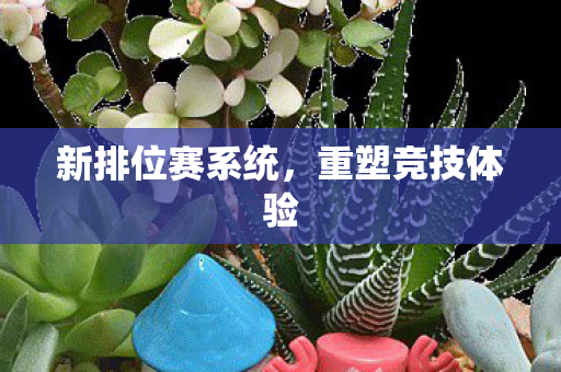 新排位赛系统图片