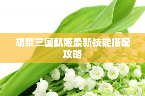 胡莱三国甄姬最新技能搭配攻略图片
