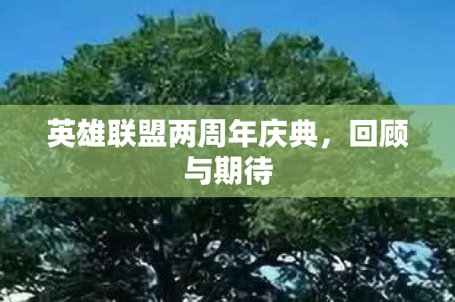 英雄联盟两周年庆典图片
