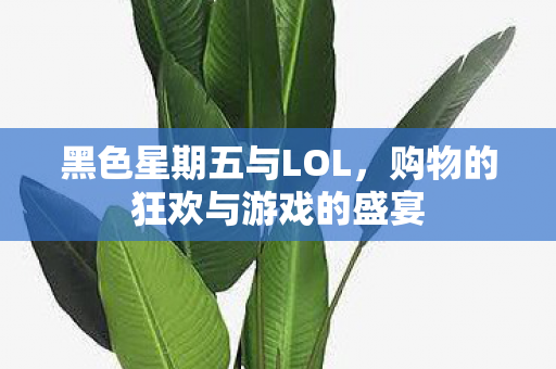 购物的狂欢与游戏的盛宴图片
