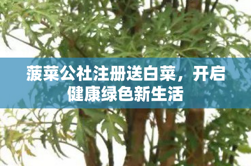 菠菜公社注册送白菜图片