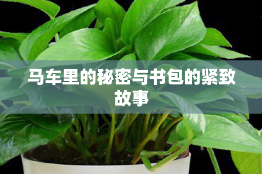 马车里的秘密与书包的紧致故事图片