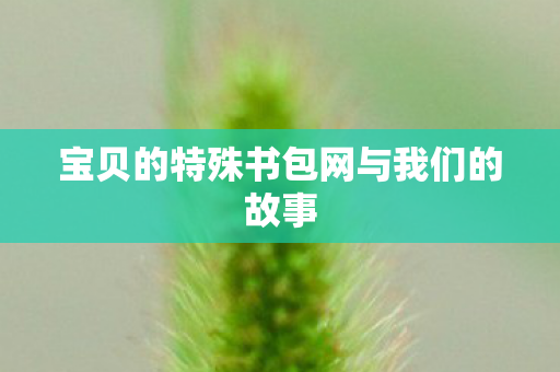 宝贝的特殊书包网与我们的故事图片
