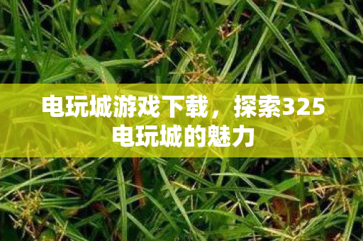 探索325电玩城的魅力图片