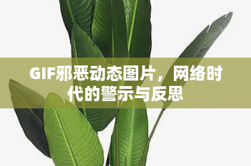 网络时代的警示与反思图片