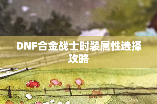DNF合金战士时装属性选择攻略图片