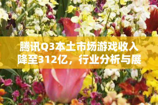 腾讯Q3本土市场游戏收入降至312亿图片