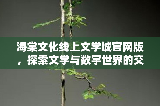 探索文学与数字世界的交融之美图片