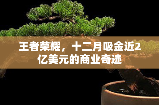 十二月吸金近2亿美元的商业奇迹图片