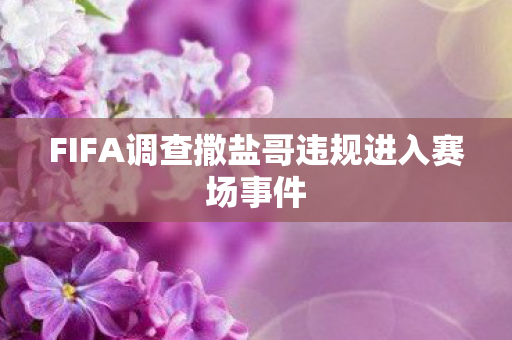 FIFA调查撒盐哥违规进入赛场事件图片