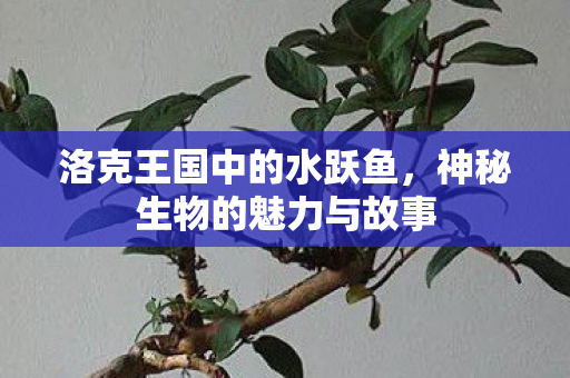 神秘生物的魅力与故事图片
