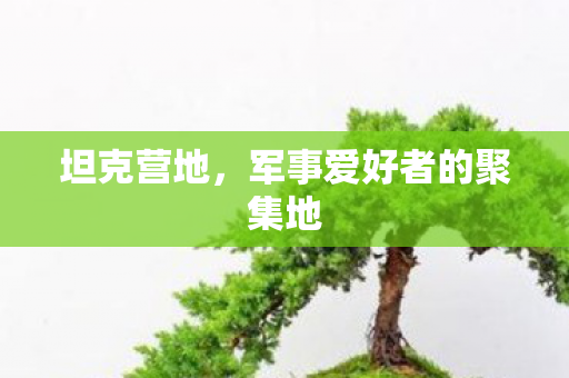 军事爱好者的聚集地图片