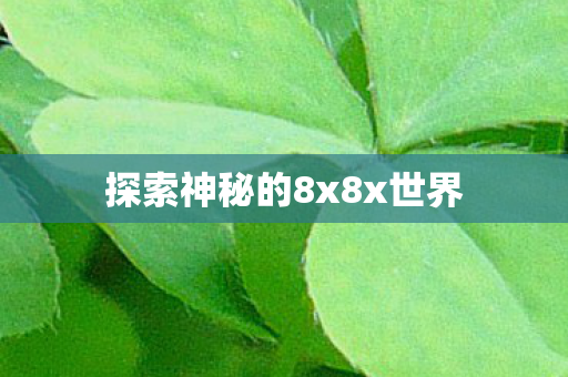 探索神秘的8x8x世界图片