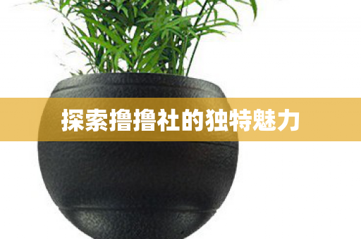 探索撸撸社的独特魅力图片