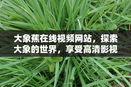 大象蕉在线视频网站图片