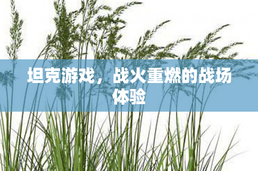 战火重燃的战场体验图片
