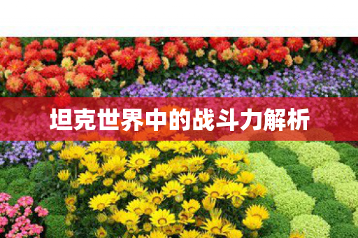 坦克世界中的战斗力解析图片