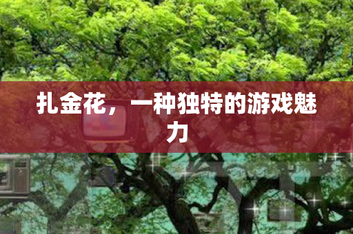 一种独特的游戏魅力图片