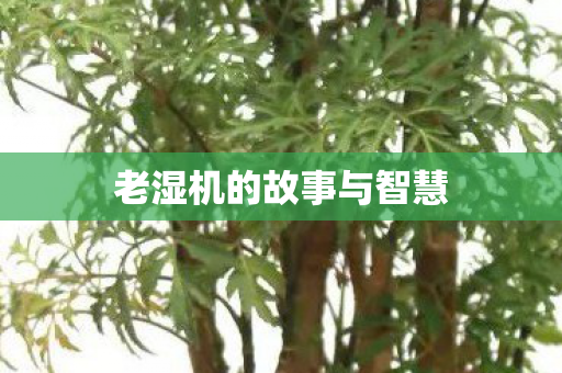 老湿机的故事与智慧图片