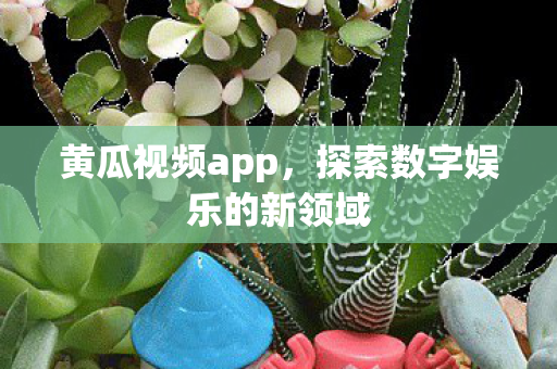 探索数字娱乐的新领域图片