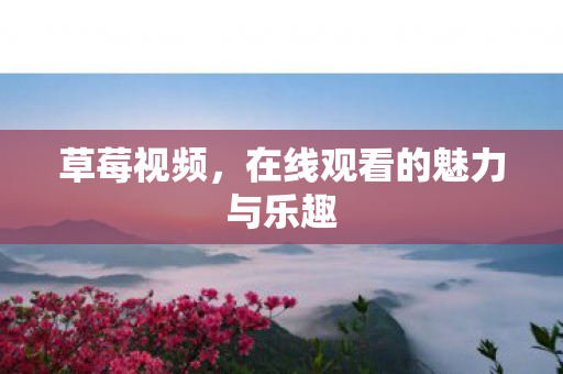 在线观看的魅力与乐趣图片