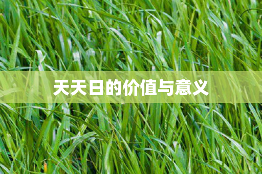 天天日的价值与意义图片