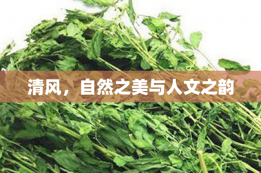 自然之美与人文之韵图片