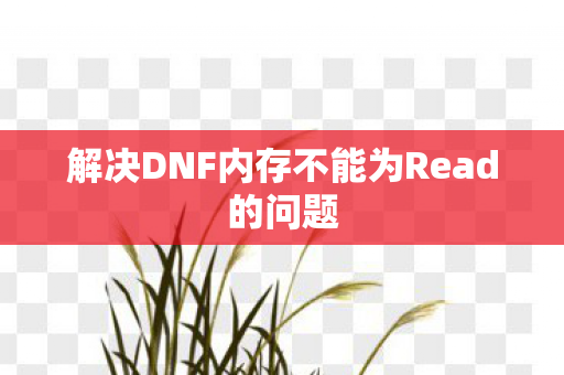 解决DNF内存不能为Read的问题图片