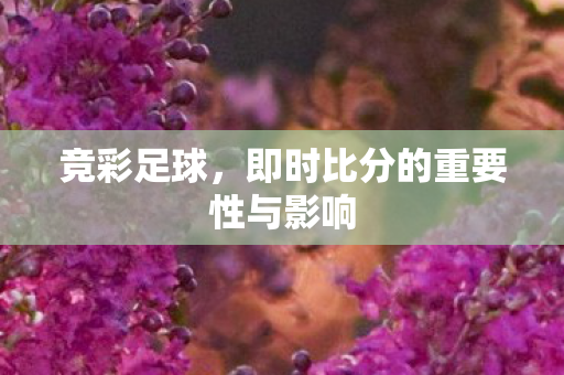 即时比分的重要性与影响图片