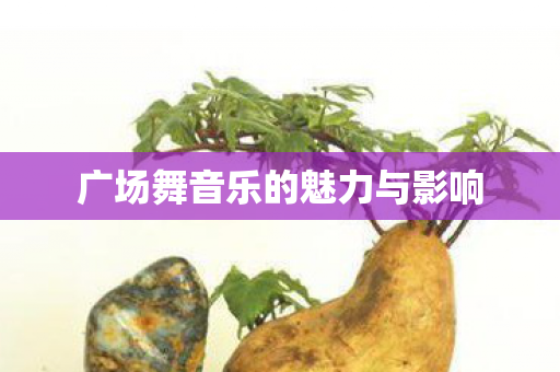 广场舞音乐的魅力与影响图片