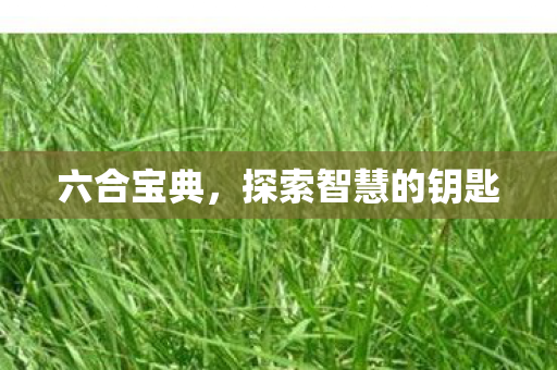 探索智慧的钥匙图片